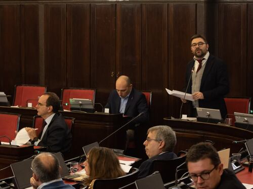 "Abusivi, baby gang e parchi le priorità"
