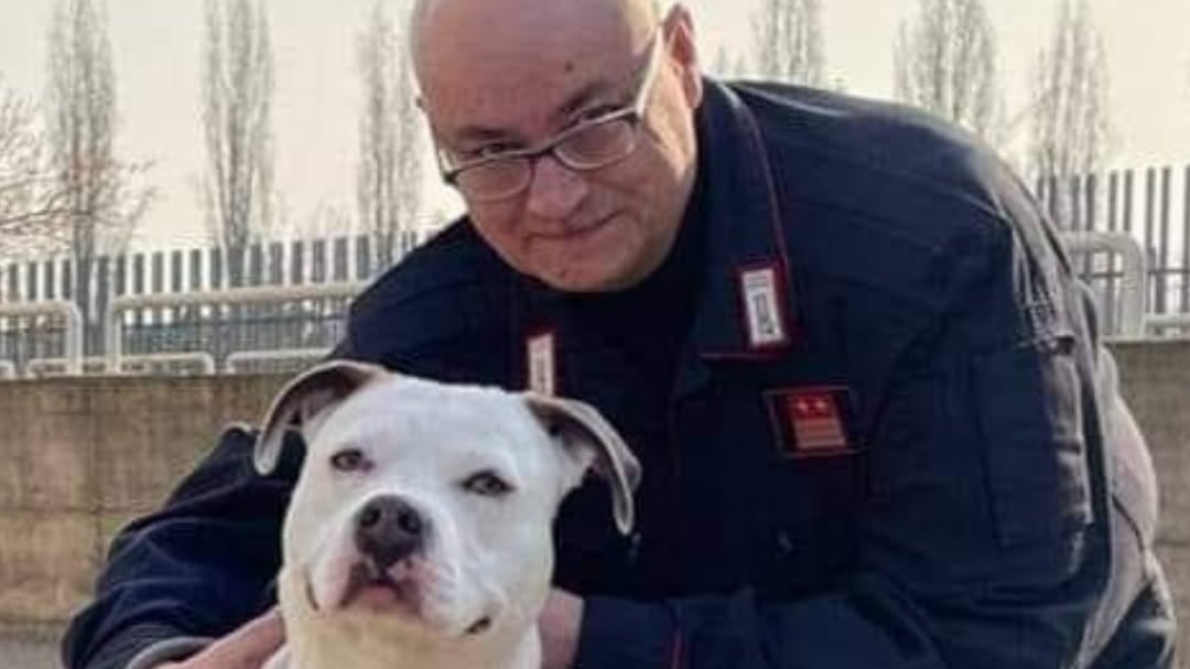 Carriere costruite in ufficio e "apericena". Il maresciallo che smaschera pm e ufficiali
