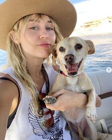 Miley Cyrus, le foto più sensuali 3