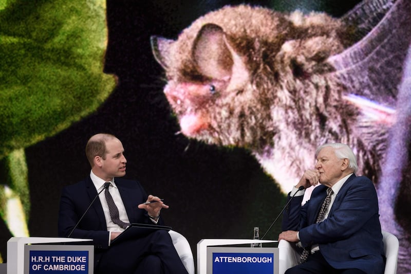 Il Principe William al World Economic Forum 4