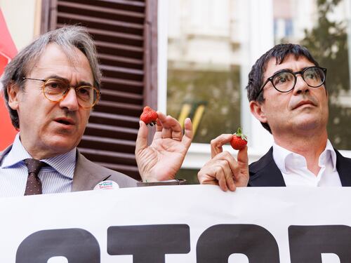 "Occupare? Non lo farei mai". Ora Bonelli scarica la Salis