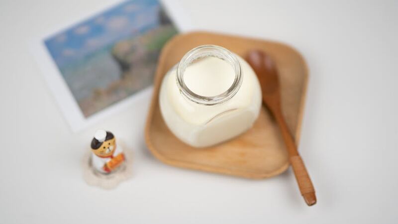 Yogurt 2