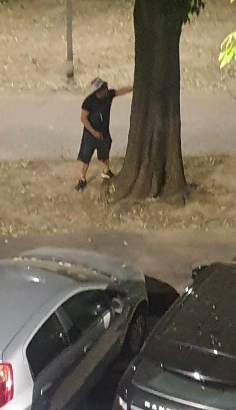 Degrado parco di Bande nere a Milano 2
