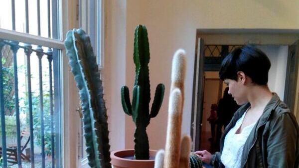 Cactus e cucchiaini viventi: quando gli oggetti si animano