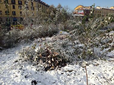 Milano innevata 6