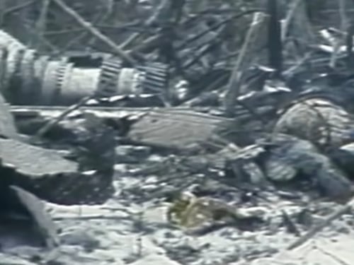 Incidente o attentato? La storia controversa del volo Arrow Air 1285