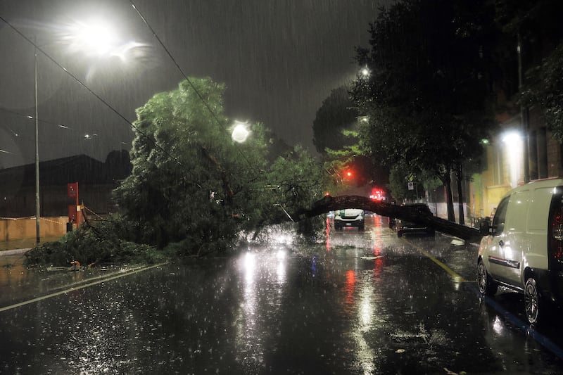 Maltempo a Bologna: alberi caduti, allagamenti ed esondazioni 1