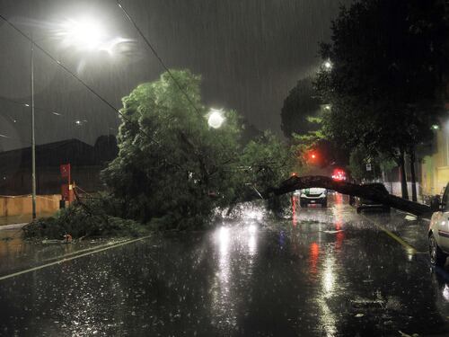 Maltempo a Bologna: alberi caduti, allagamenti ed esondazioni