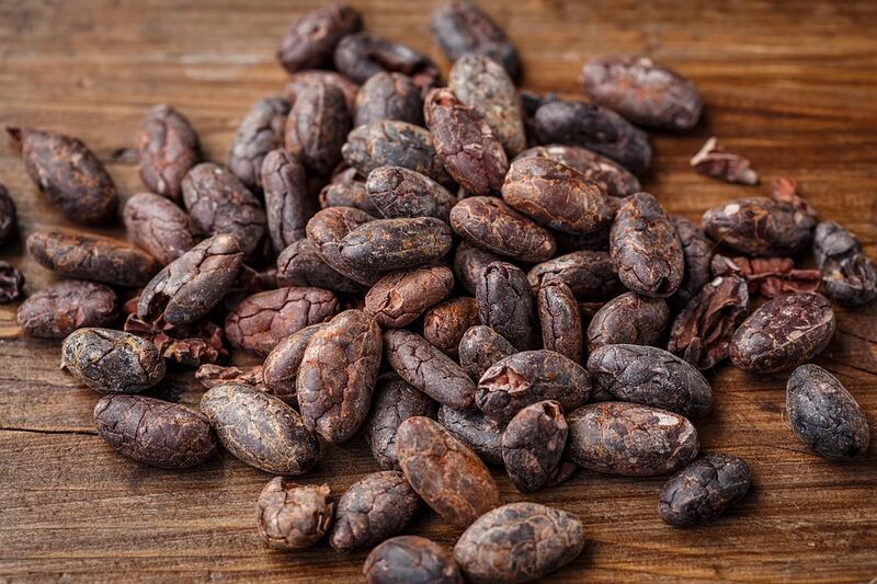 cacao