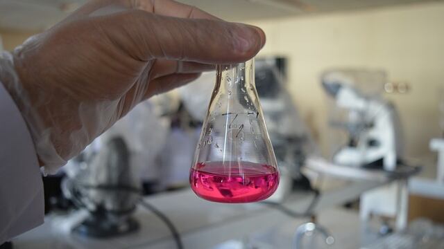 Tumore del colon, identificati nuovi bersagli per l'immunoterapia
