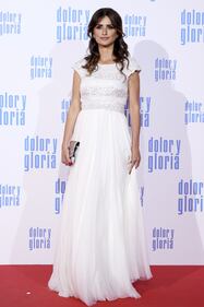 Penelope Cruz e Antonio Banderas sexy sul red carpet 6