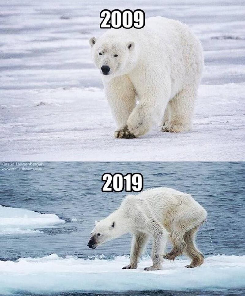 La # 10yearschallenge del Pianeta: ecco com'è cambiato in 10 anni 4