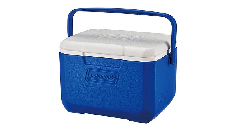Borsa frigo