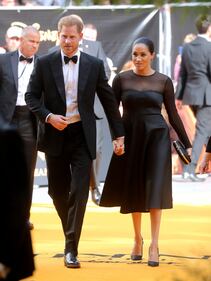 Meghan Markle e il Principe Harry: foto 8