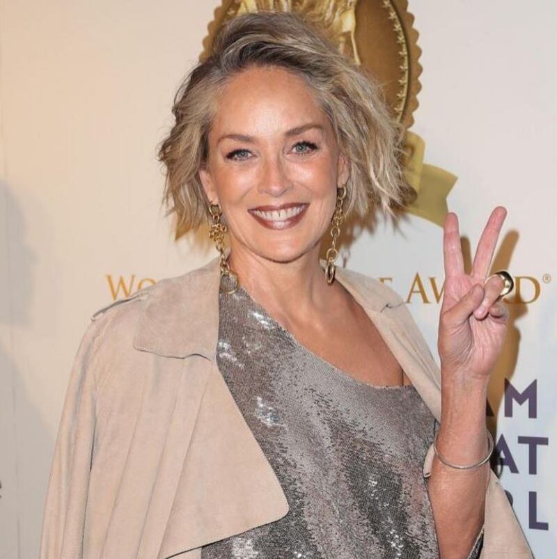 Madonna e Sharon Stone: sexy dive a confronto 32