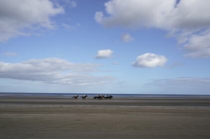 La corsa dei cavalli sulla spiaggia di Laytown 6