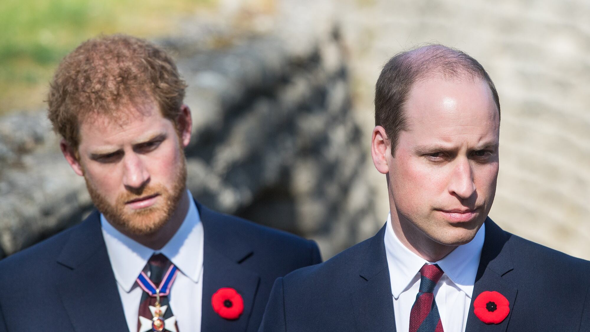 Il principe Harry ferito dai consigli del fratello? La rivelazione della biografa di Corte