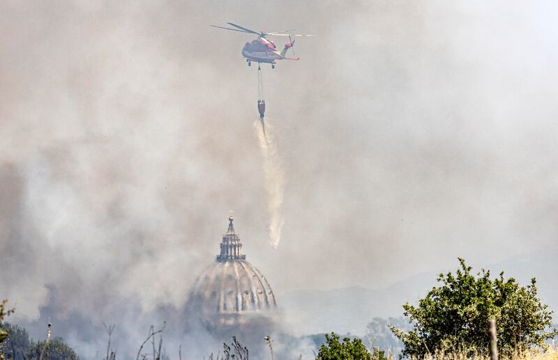 Incendio di pineta Sacchetti a Roma 4