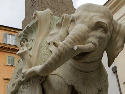 Roma, danneggiata la statua dell'elefante del Bernini