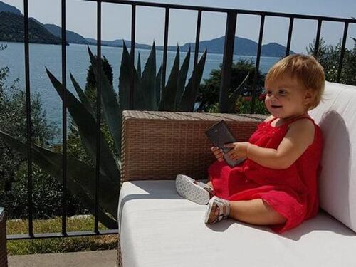 Sbranata a 13 mesi dai pitbull di casa: assolti madre, padre e nonno