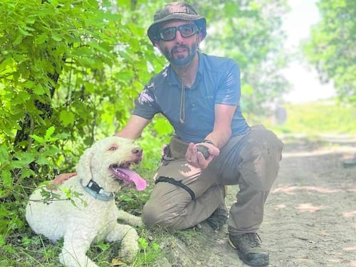Il tartufaio di città ha scoperto un tesoro sottoterra a Lambrate