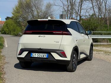 BYD Dolphin Surf, guarda tutte le foto 20