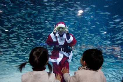 Babbo Natale nell'acquario 4