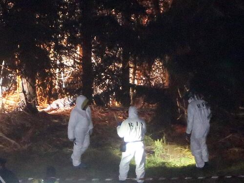 Giallo di Brescia, i sospetti del Ris sul forno dell'azienda