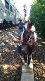Milano, panico tra i pendolari: "fumo sul treno". A piedi sui binari 8