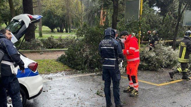 Maltempo a Roma, albero cade su due donne