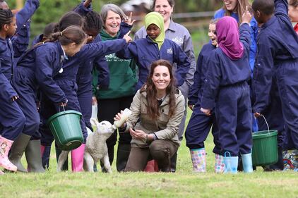 Kate dà il biberon agli agnellini 12