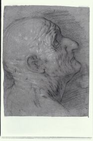 I presunti disegni di Michelangelo 6