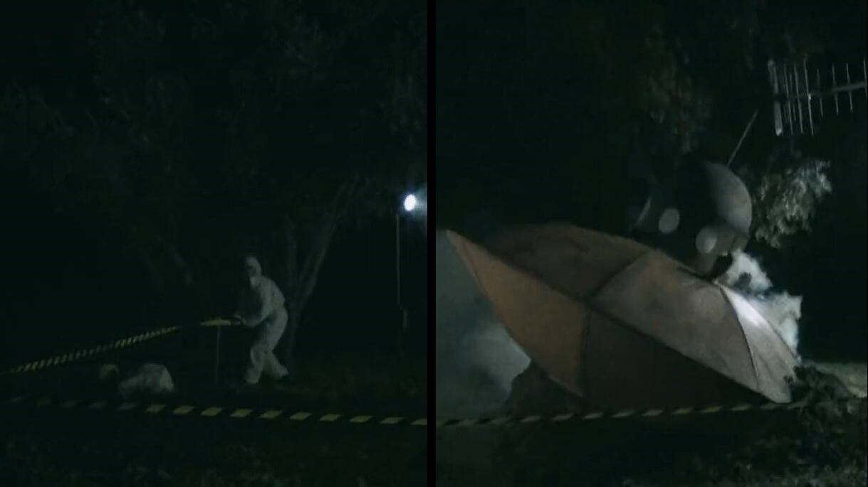 Mistero sull'Ufo che si schianta all'università, le immagini fanno il giro del web