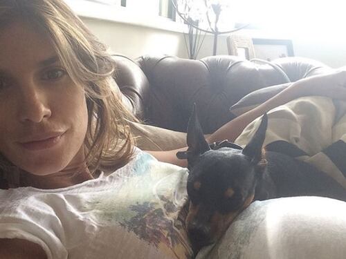 Elisabetta Canalis in pena per il suo cane, chiede aiuto ai fan per curarlo