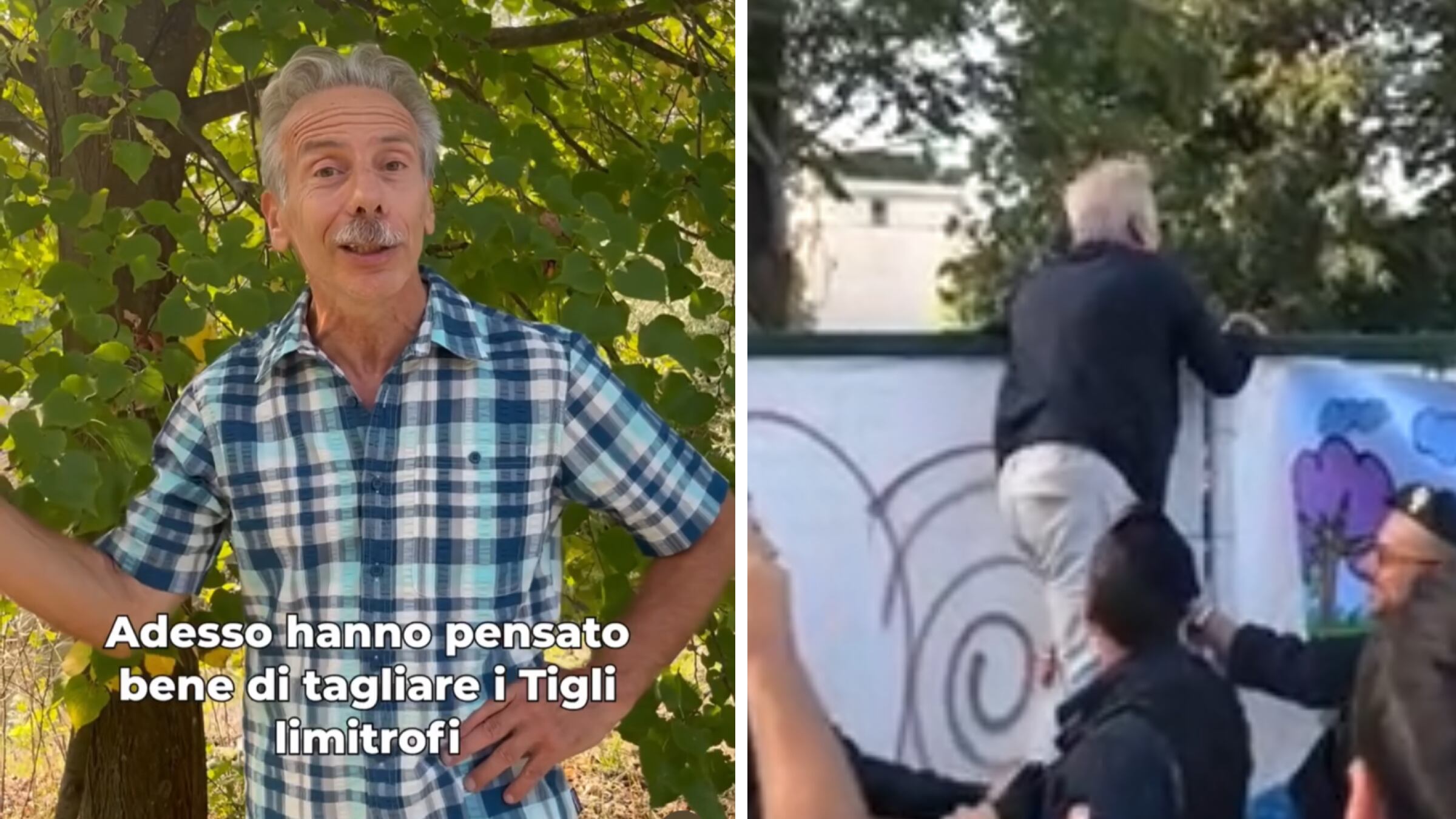 "Ambientalista di convenienza". Sala abbatte i tigli per il museo della Resistenza