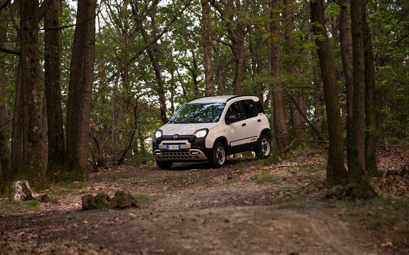 Fiat Panda 4x40° Limited Edition, guarda tutte le immagini 3