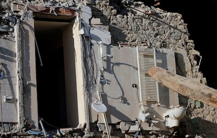 Lady Gaga per il terremoto: foto 7