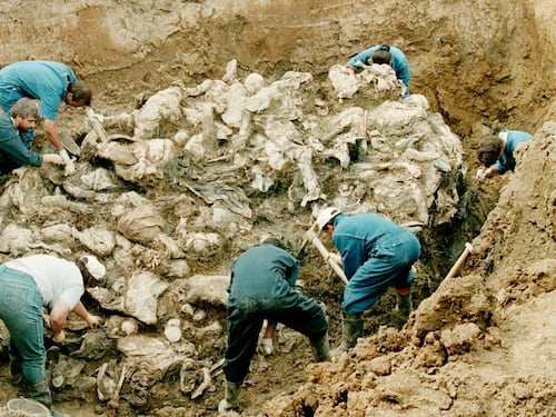 Questa è la nuova Srebrenica, è un genocidio