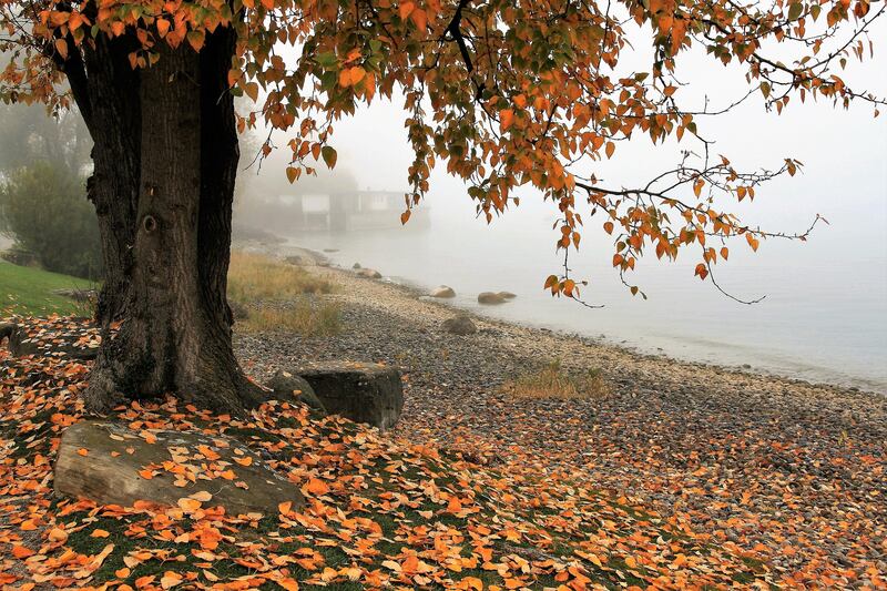 autunno