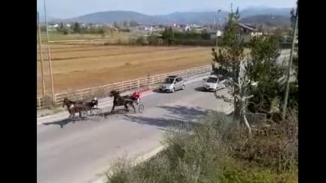 Folle corsa dei rom coi cavalli Ecco cosa fanno in quarantena