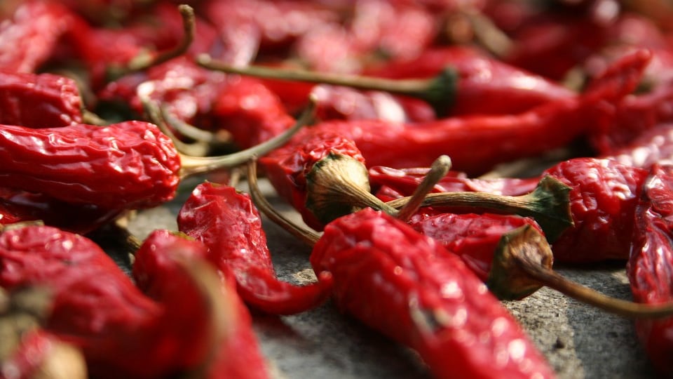Peperoncino più piccante del mondo, un uomo finisce all'ospedale