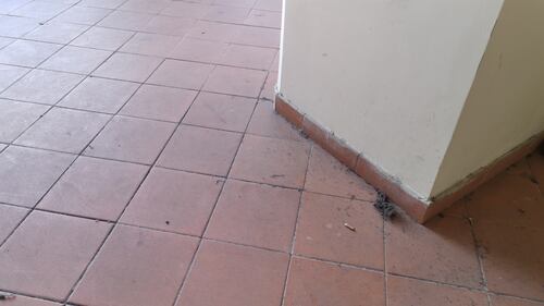 Così si presentano degli spazi nella scuola Froebeliano 4