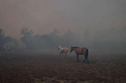 L'Australia devastata dagli incendi 12