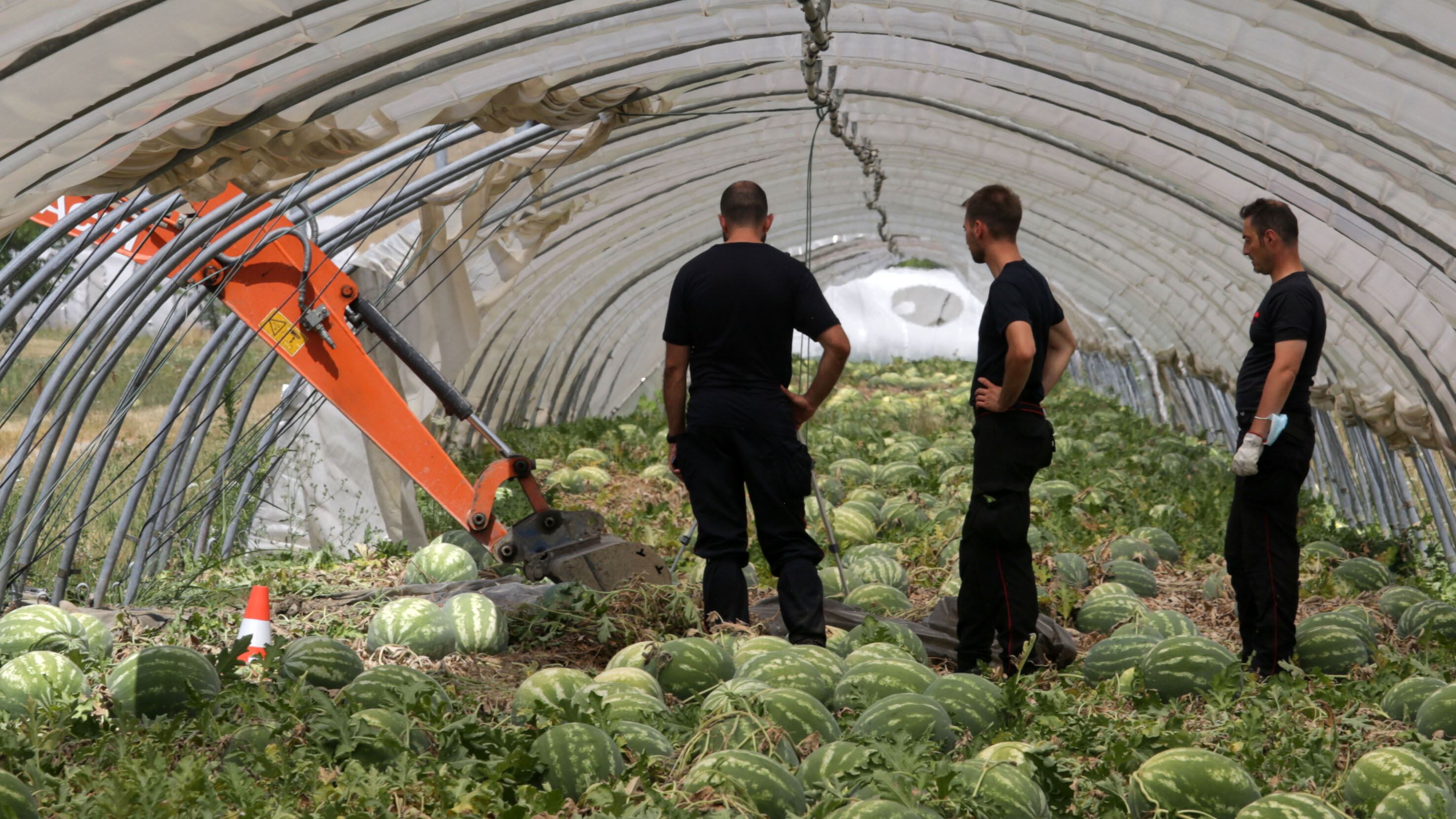 Saman, forse la svolta: resti umani in un sacco due metri sotto terra