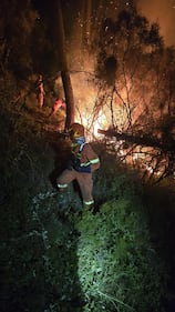 Incendio di Prato, vigili del fuoco e squadre antincendio all'opera 1