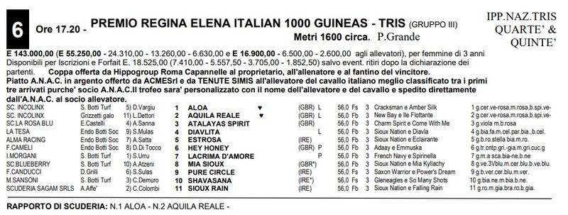 elena 5/23