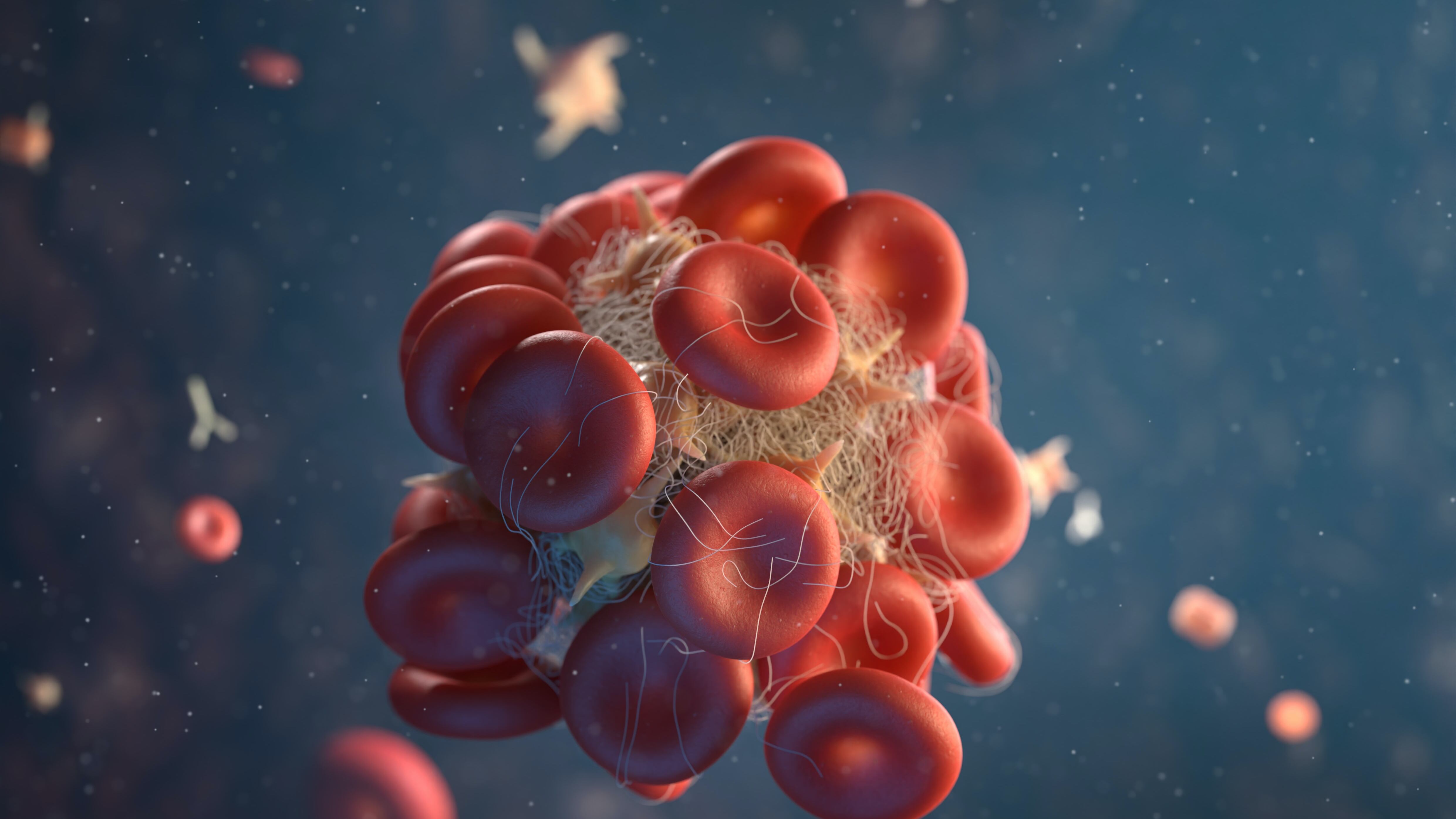 Il benessere della buona circolazione e microcircolazione: i vantaggi e 7 consigli
