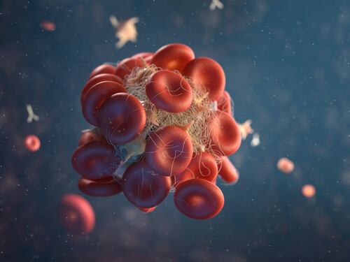 Il benessere della buona circolazione e microcircolazione: i vantaggi e 7 consigli