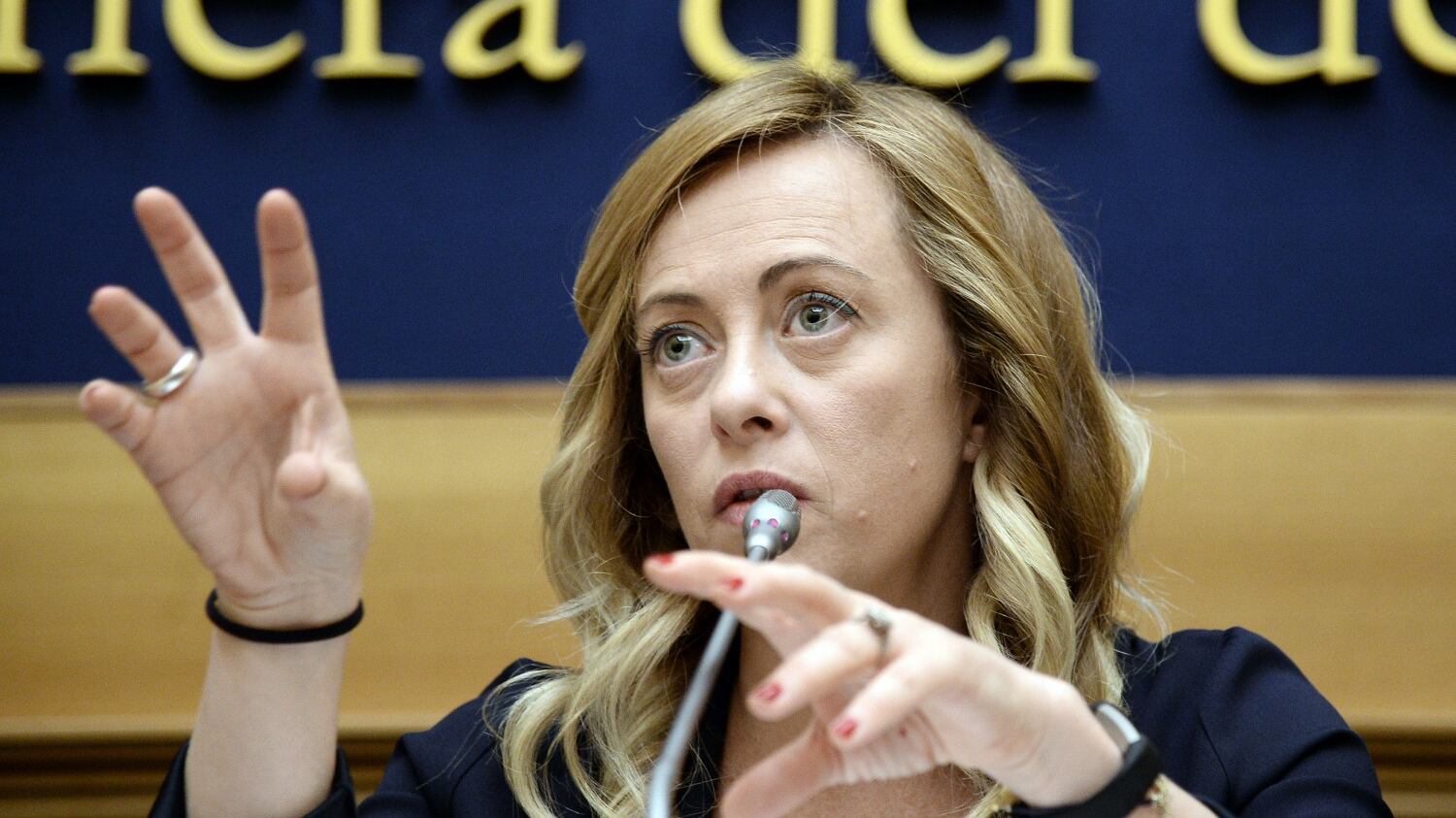 La Meloni vuole un patto tra popolari e populisti: "Così rilanciamo l'Europa"