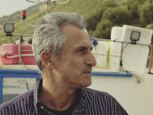 Le alici di menaica al sapore dell'antica Grecia